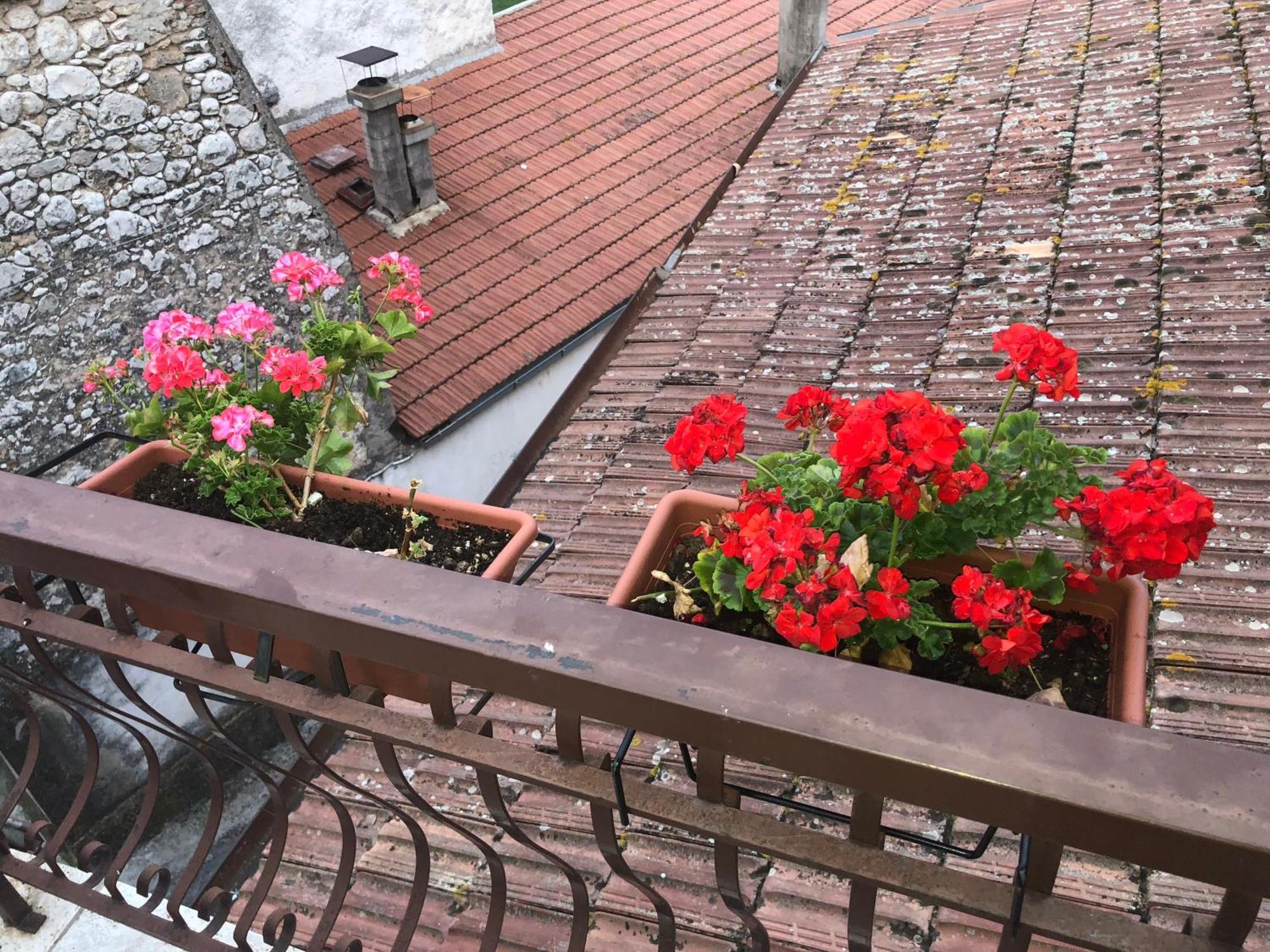 Bed And Breakfast Il Cavaliere Pozzilli 外观 照片