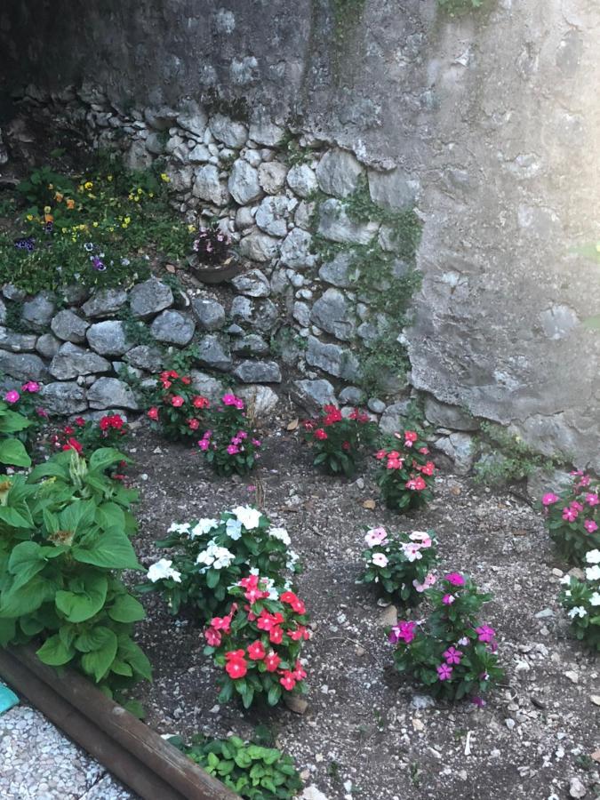 Bed And Breakfast Il Cavaliere Pozzilli 外观 照片